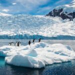 Highest ever temperature at around 65 degrees Fahrenheit recorded at Trinity Peninsula, Antarctica.