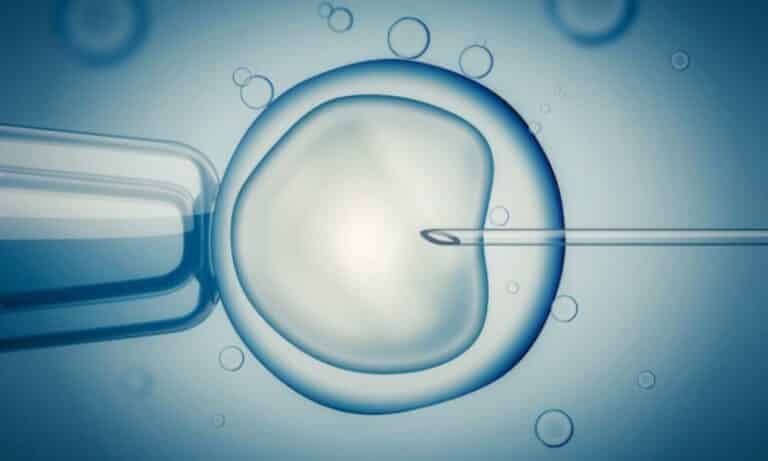 In vitro fertilization and its challenges