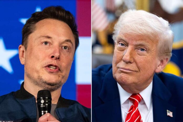 Musk condemns Trump's Senate bill