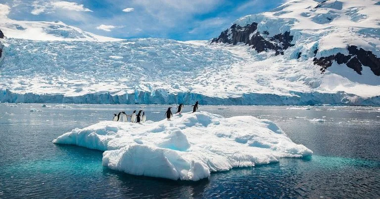 Highest ever temperature at around 65 degrees Fahrenheit recorded at Trinity Peninsula, Antarctica.